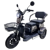 Электротрицикл YASMAND D12 Li-ion серый